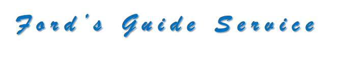 Fordsguideservice